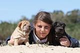 ENFANT ET CHIEN 159